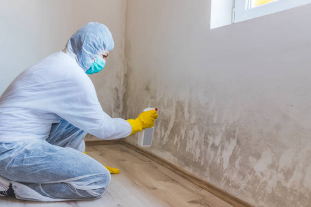 Mold Remediation specialist working in Port Deposit